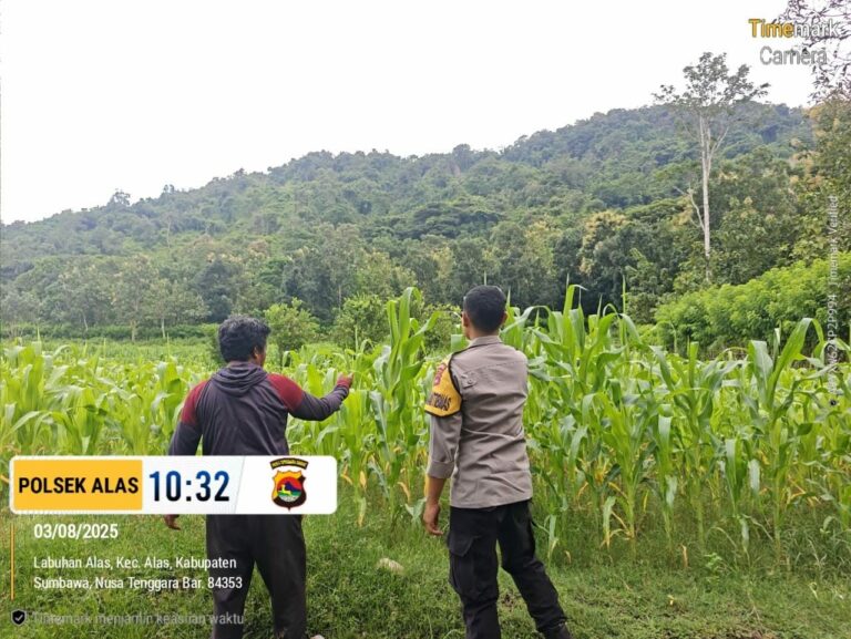 WhatsApp Image 2025-08-03 at 13.24.09 (1)