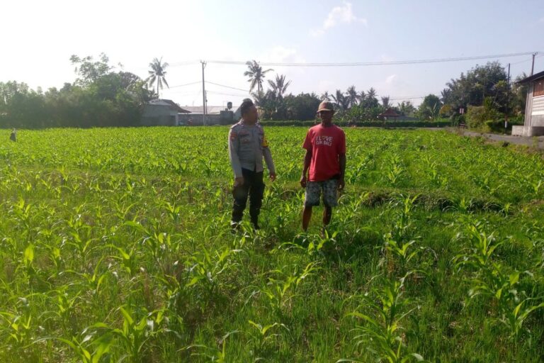 WhatsApp Image 2025-08-07 at 09.19.13