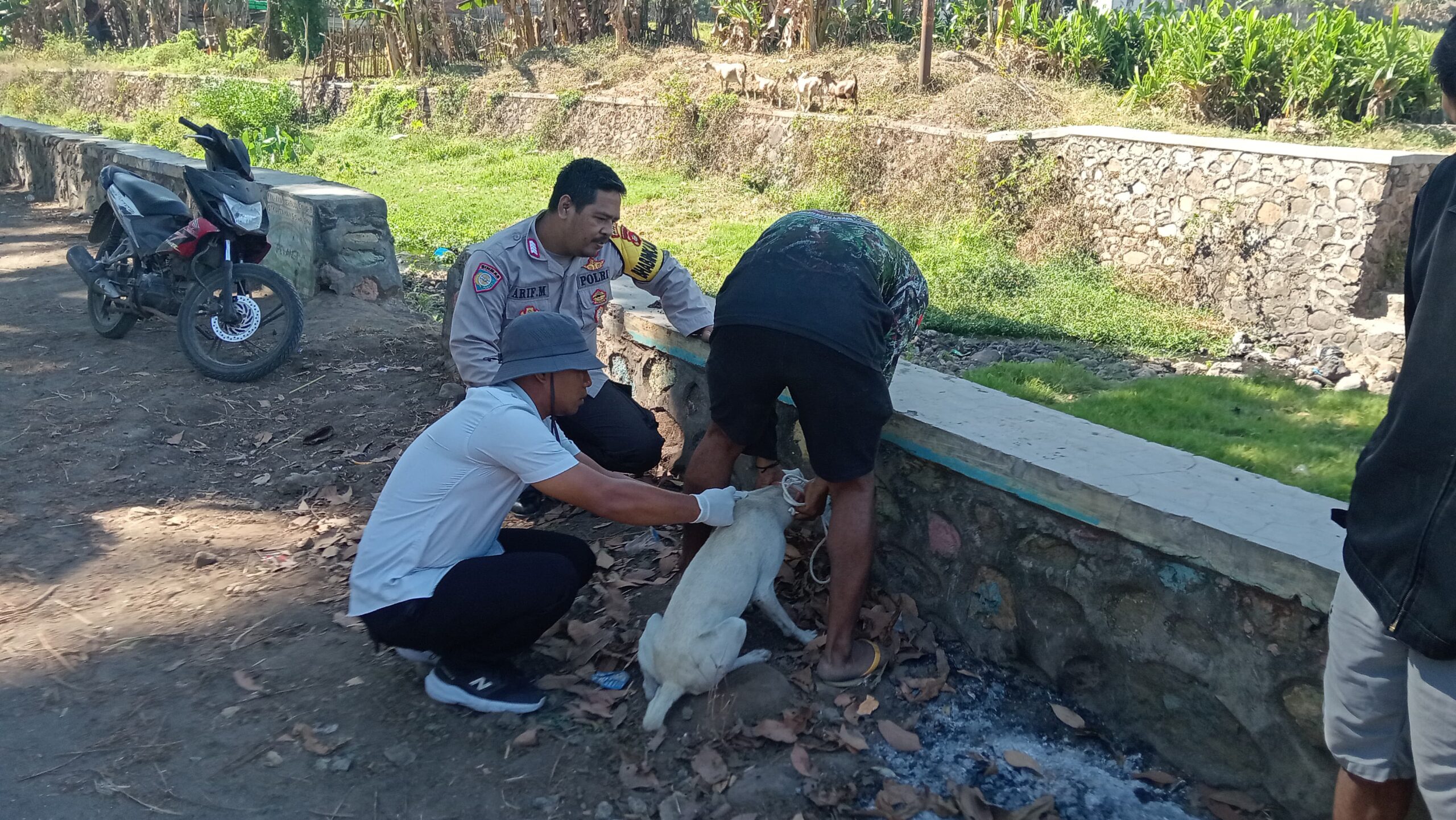 WhatsApp Image 2025-08-12 at 12.13.36