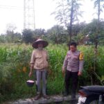 WhatsApp Image 2025-09-10 at 11.27.51