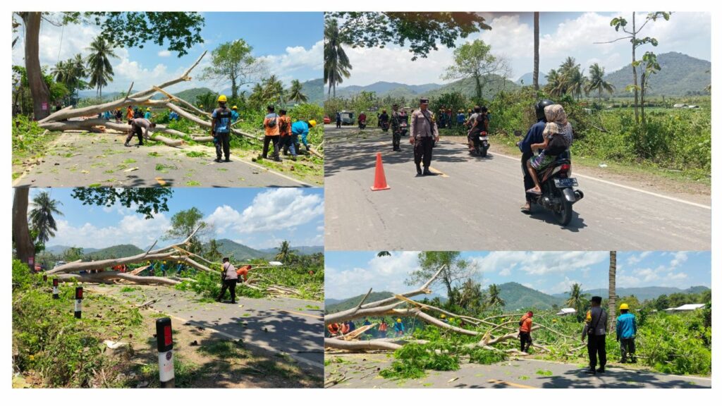 Galeri 2 Gambar