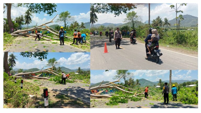 Galeri 2 Gambar