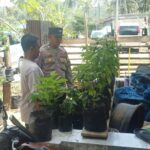 Sinergi Polri dan Masyarakat Sekotong Perkuat Ketahanan Pangan dan Kamtibmas