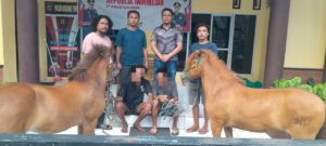 WhatsApp Image 2025-10-18 at 19.18.51
