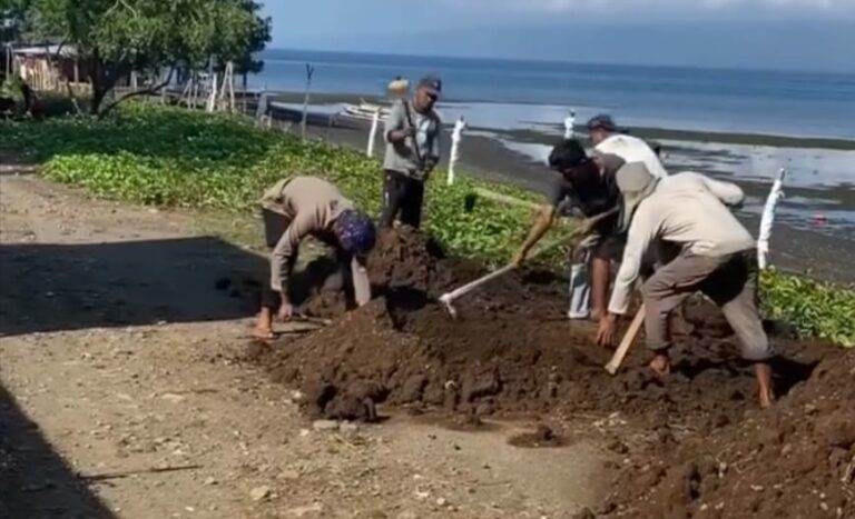 WhatsApp Image 2025-10-25 at 00.12.56