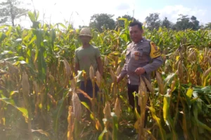 Kapolsek Kuripan: Ketahanan Pangan Harus Dimulai dari Desa