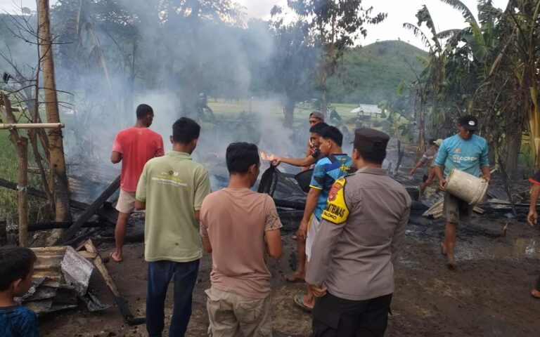 WhatsApp Image 2025-10-29 at 08.24.52