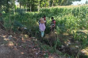 Patroli Ketahanan Pangan: Sinergi Polres Lobar dan Petani Jagung