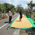 WhatsApp Image 2025-11-02 at 20.24.36