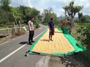 WhatsApp Image 2025-11-02 at 20.24.36