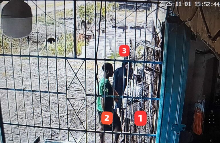 WhatsApp Image 2025-11-03 at 07.00.58