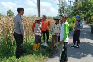 Pantai Senggigi Kondusif Berkat Patroli Rutin Sat Polairud Polres Lobar