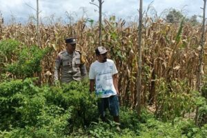Langkah Praksis Polsek Gerung: Edukasi Pemanfaatan Lahan Kosong