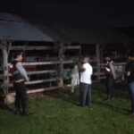 Apresiasi Warga Mengalir, Polisi Hadir di Tengah Sunyi Dini Hari Amankan Hewan Ternak