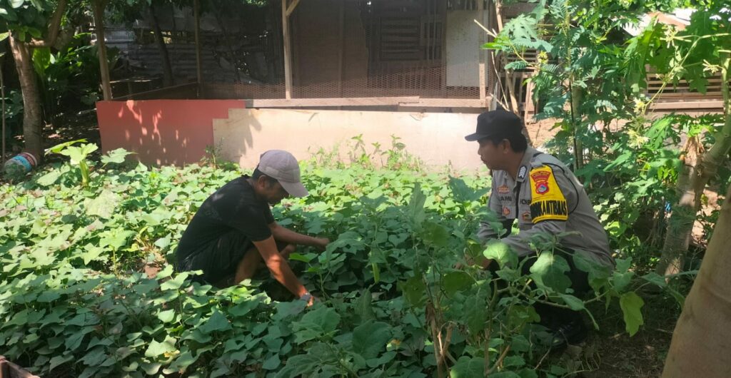 WhatsApp Image 2025-11-06 at 08.54.15