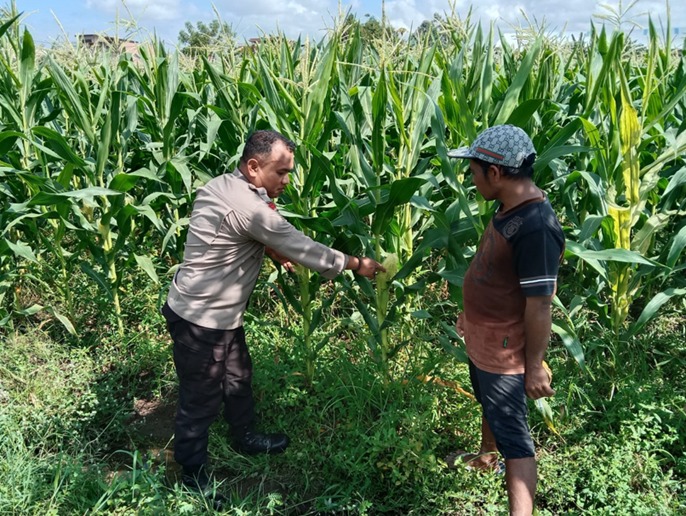 WhatsApp Image 2025-11-29 at 14.32.30_f1488060