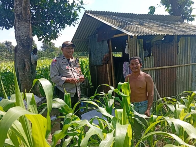 WhatsApp Image 2025-11-29 at 14.34.49_c0177756