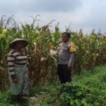 WhatsApp Image 2025-11-30 at 13.44.56_57ac64e1