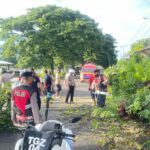 782acfaa-25e8-4ffe-aa07-068acf95ab57