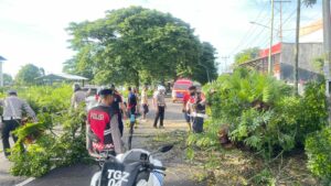 782acfaa-25e8-4ffe-aa07-068acf95ab57