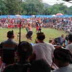 Pelestarian Budaya Sasak: Final Peresean Tarung Pepadu Lombok Berlangsung Aman