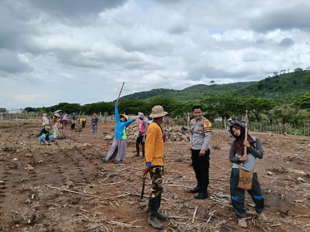 WhatsApp Image 2025-11-29 at 19.24.11