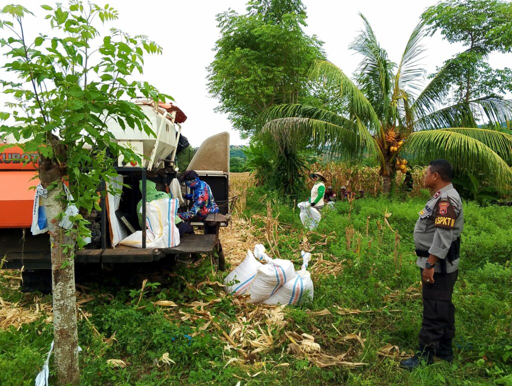 WhatsApp Image 2025-12-01 at 09.42.43