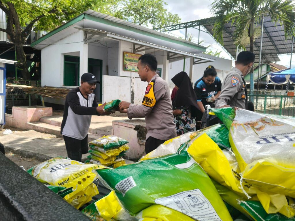 WhatsApp Image 2025-12-02 at 12.41.38