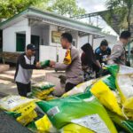 WhatsApp Image 2025-12-02 at 12.41.38