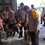 WhatsApp Image 2025-12-02 at 16.17.12