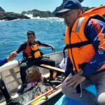 WhatsApp Image 2025-12-04 at 15.29.36