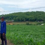 WhatsApp Image 2025-12-04 at 23.08.21