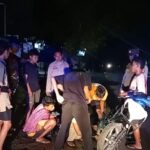 WhatsApp Image 2025-12-05 at 07.49.55