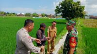 Karang Bongkot Punya Potensi! Lahan Kosong Siap Digarap Petani