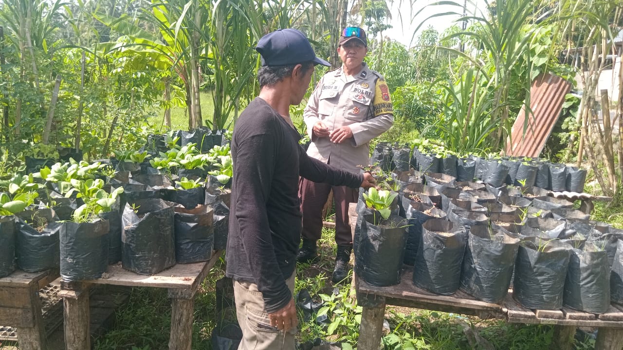 Ketahanan Pangan Kuat: Inisiatif Lahan Bergizi di Lombok Barat