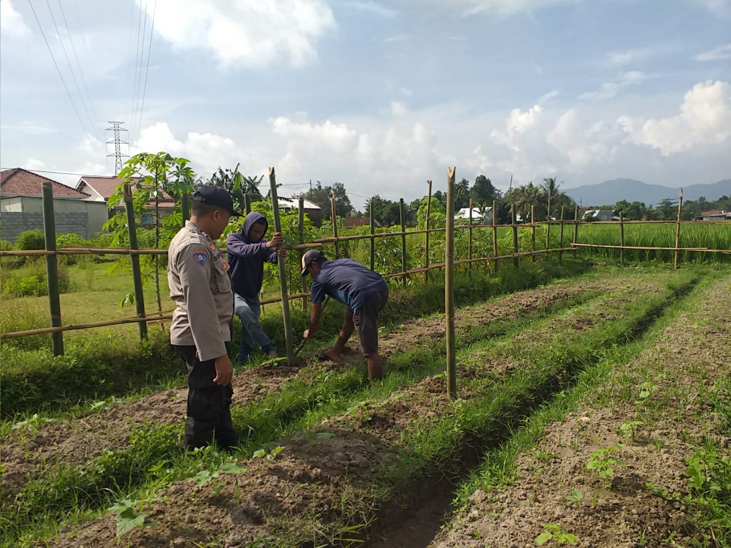 Inspiratif! Bhabinkamtibmas Ajak Warga Lombok Barat Manfaatkan Lahan untuk Ketahanan Pangan