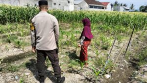 Sinergi Polri dan Petani, Lahan Kosong Jadi Lumbung Pangan di Labuapi