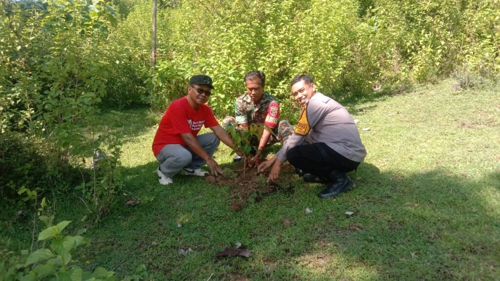 56647620-cfeb-42aa-b856-efb204dc3605