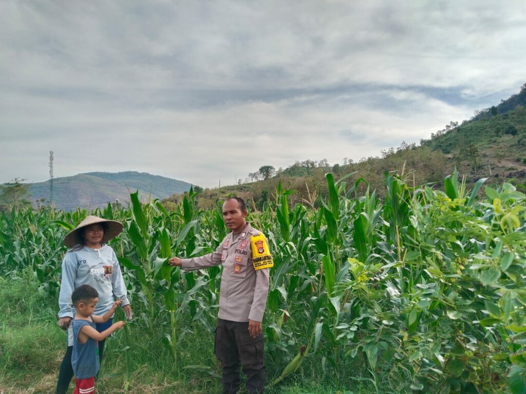 WhatsApp Image 2025-11-12 at 20.19.34