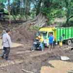 WhatsApp Image 2025-11-13 at 07.56.36