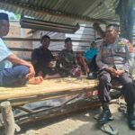 WhatsApp Image 2025-11-14 at 09.36.03