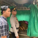 WhatsApp Image 2025-11-17 at 14.09.35