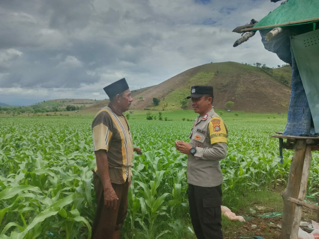 WhatsApp Image 2025-11-18 at 19.46.43 (1)