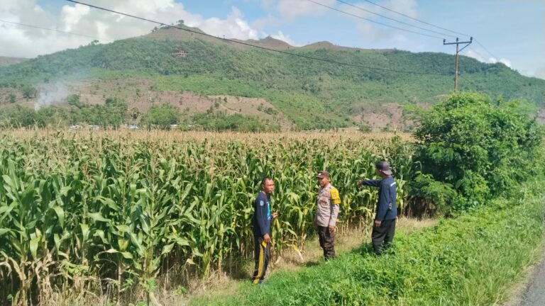 WhatsApp Image 2025-11-22 at 23.04.40