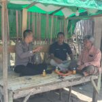 WhatsApp Image 2025-11-25 at 11.26.45