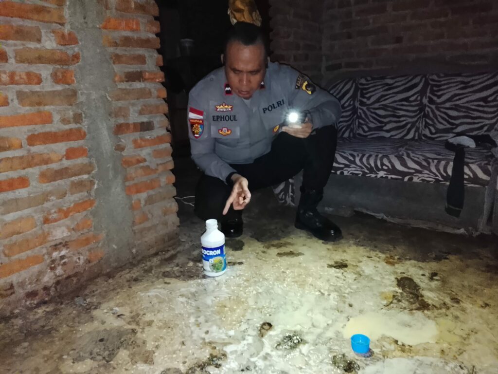 WhatsApp Image 2025-11-26 at 10.38.44 PM