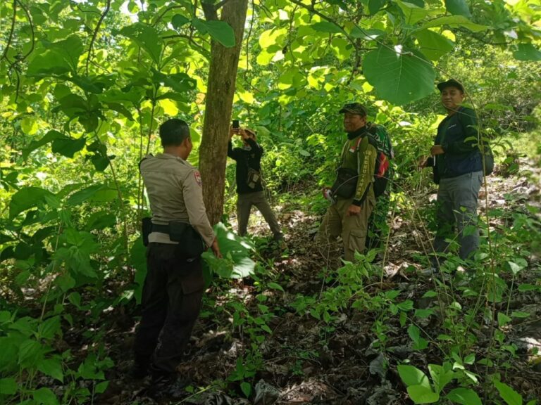 a31f07f5-0b9a-49b1-bfff-87aa2f1e3977