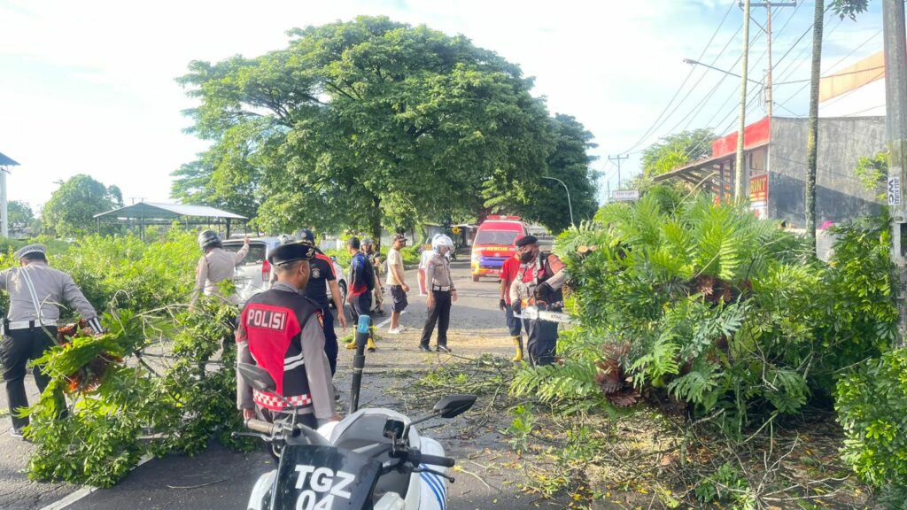 64a9a33d-eb4c-46a5-8eff-3fe3d77fe8df