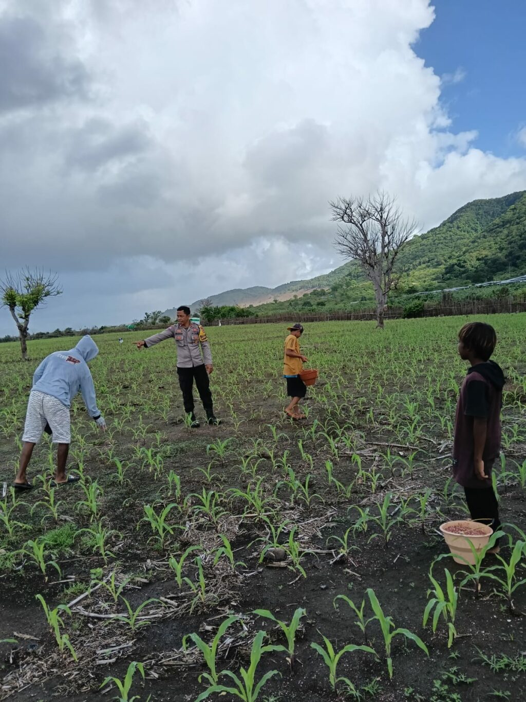 WhatsApp Image 2025-12-08 at 21.25.19