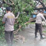 WhatsApp Image 2025-12-09 at 10.22.10